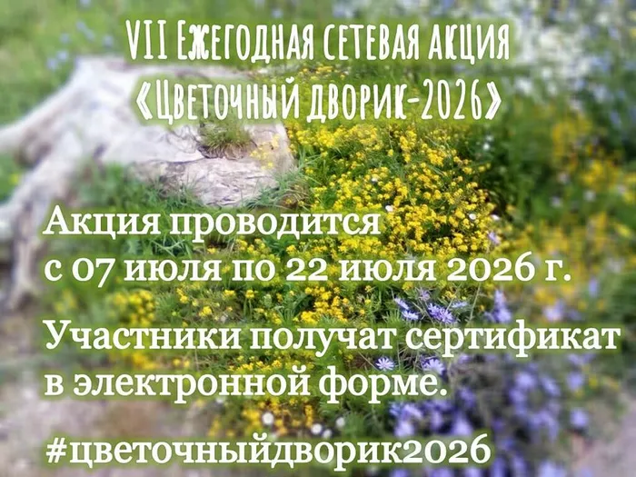 цветочный дворик 2026