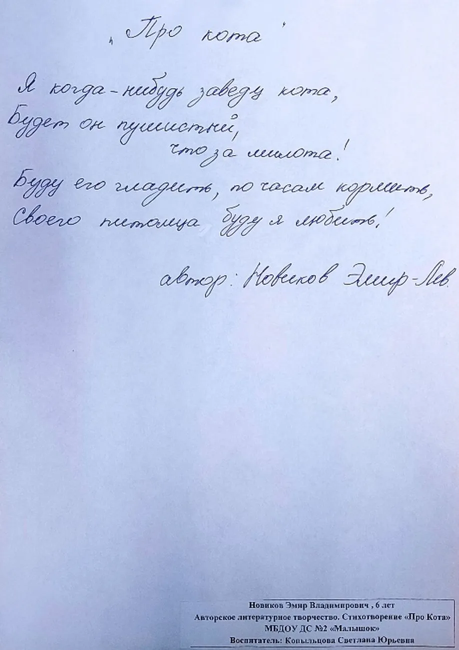 14. Новиков Эмир стихотворение ПРО КОТА